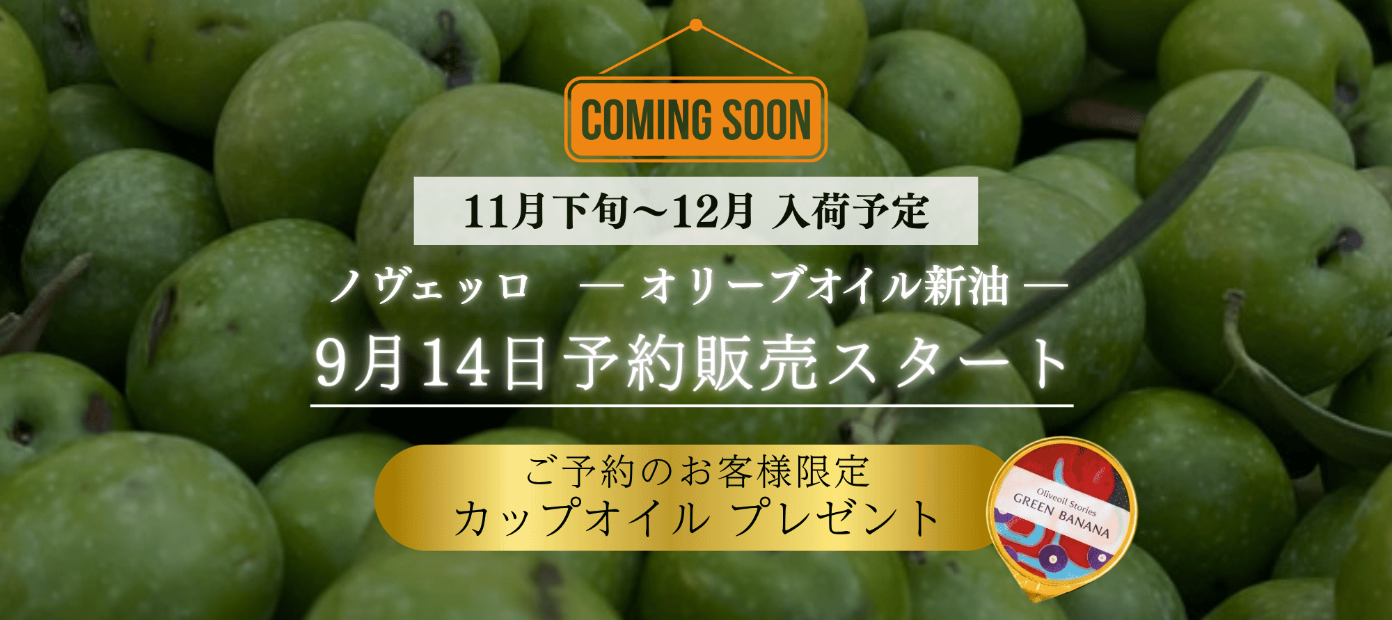 ノベッロ予約販売予告_PCバナー用