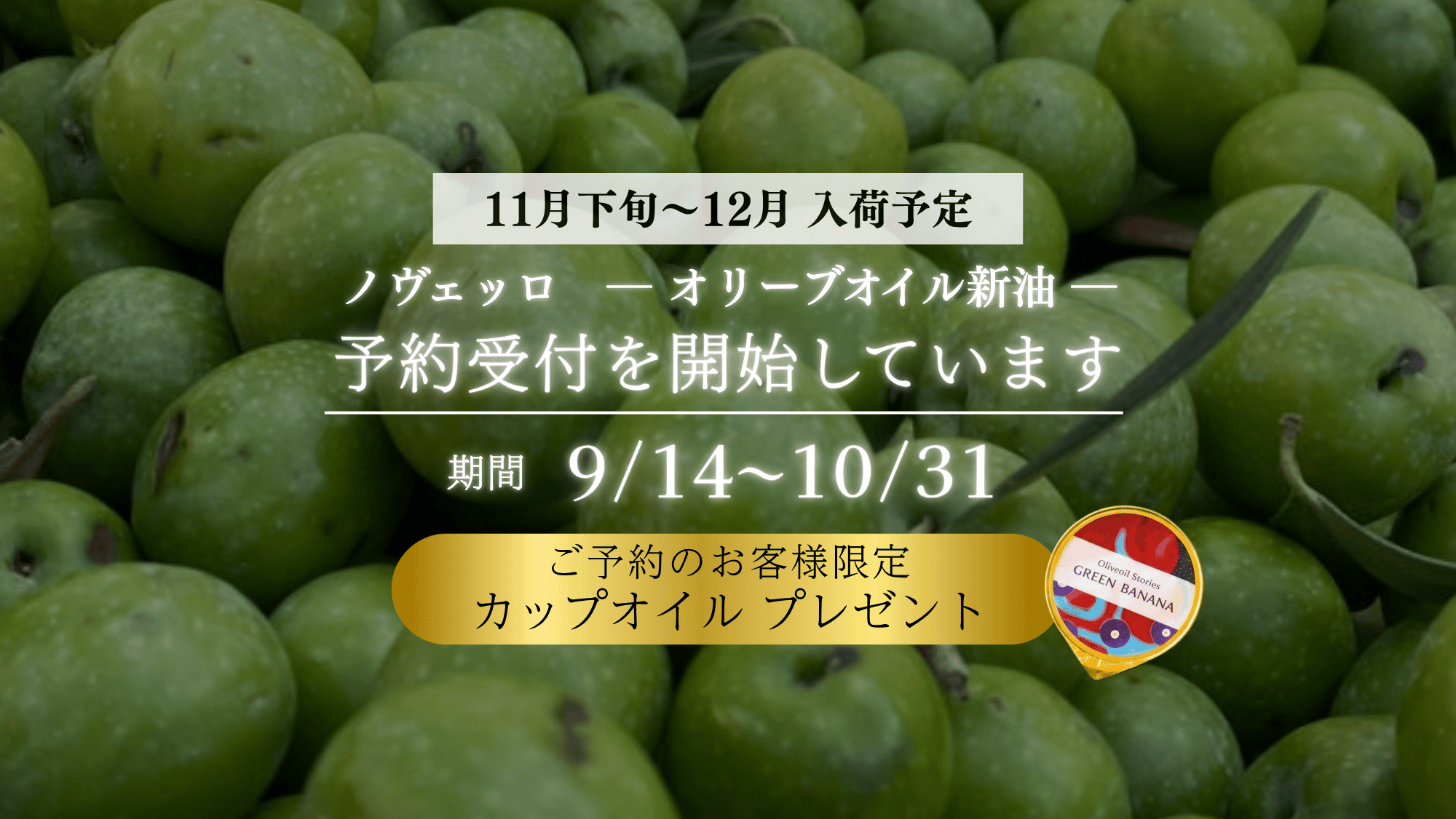 ノベッロ予約販売予告_PCバナー用