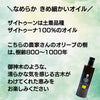 ザイ_特徴