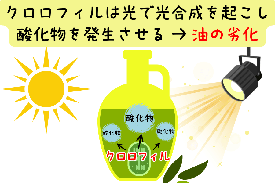 クロロフィルは光で光合成を起こし酸化物を発生させる　→　油の劣化