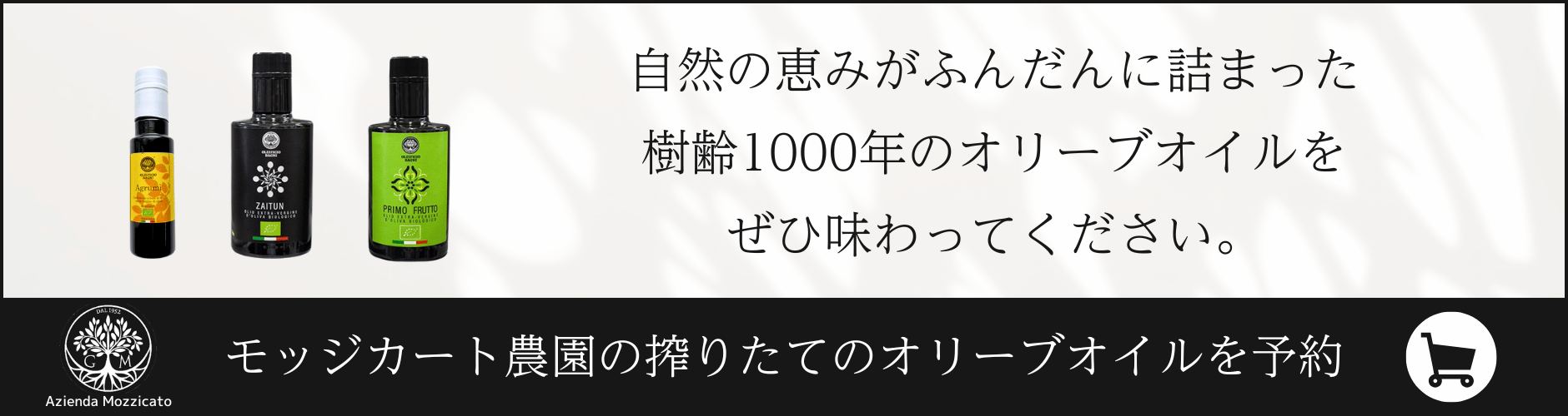 自然の恵みがふんだんに詰まった樹齢1000年のオリーブイルをぜひ味わってください。 モッジカート農園の搾りたてのオリーブオイルを予約する