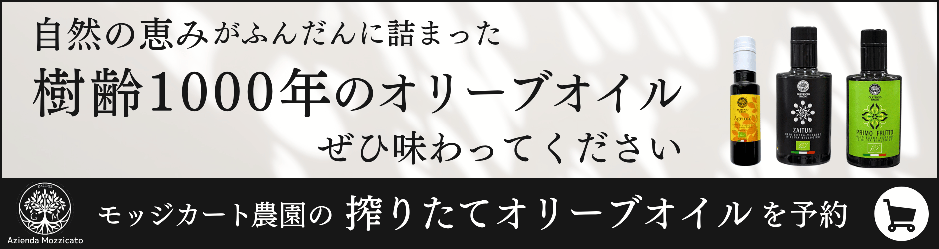 自然の恵みがふんだんに詰まった樹齢1000年のオリーブイルぜひ味わってください。 モッジカート農園の搾りたてのオリーブオイルを予約する